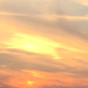 Meet your Posher, Pragya